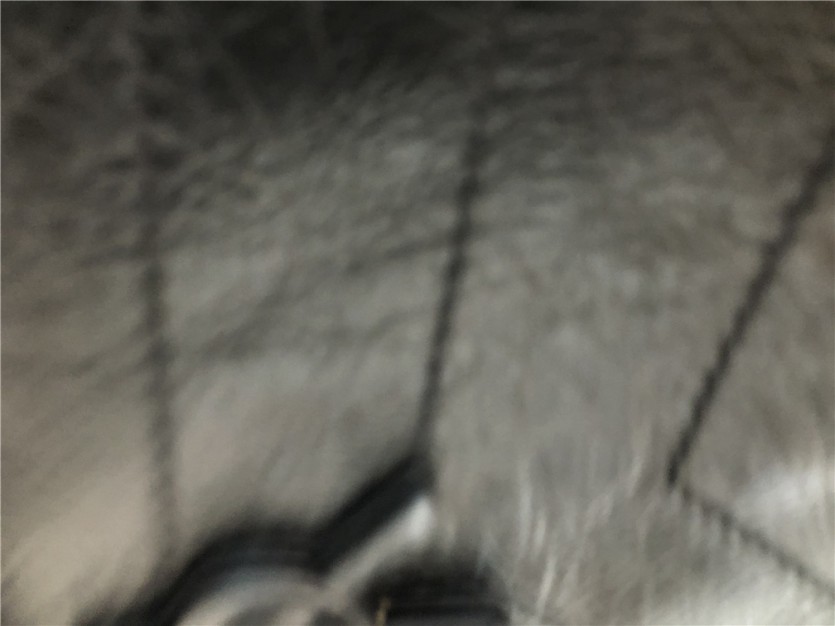 50ca7b5e1b48845ac7b097453801688e_1572132002_8793.JPG