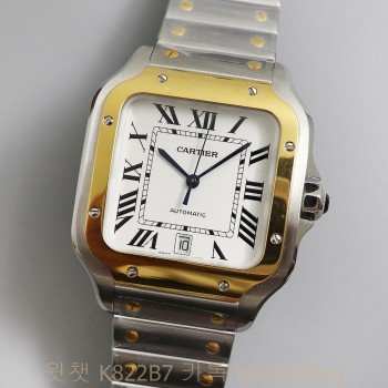 까르띠에 Cartier 산토스