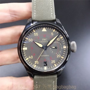 IWC 파일럿
