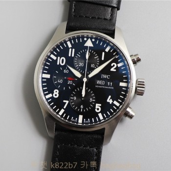 IWC 파일럿