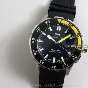 샤프하우젠 IWC