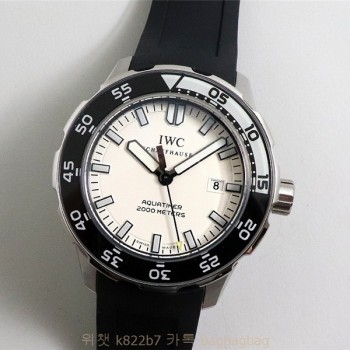 샤프하우젠 IWC