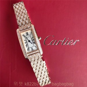 까르띠에 Cartier 산토스