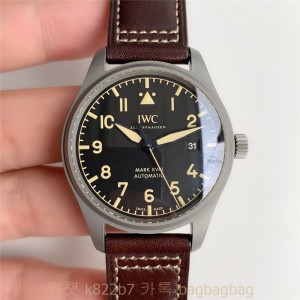 IWC 파일럿