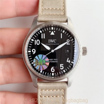 IWC 파일럿