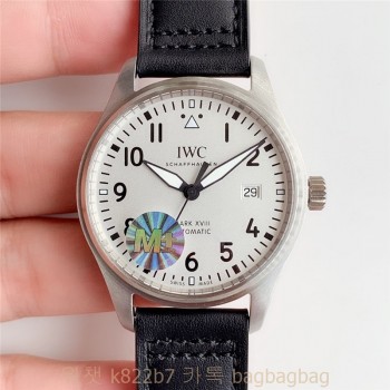 IWC 파일럿