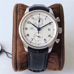 샤프하우젠 IWC
