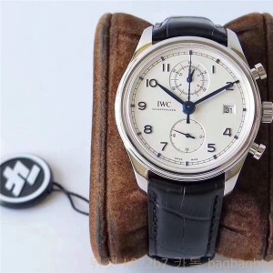 샤프하우젠 IWC
