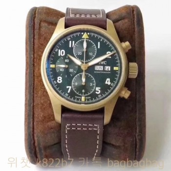 샤프하우젠 IWC