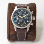 샤프하우젠 IWC