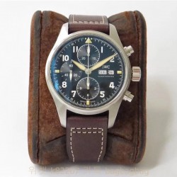 샤프하우젠 IWC