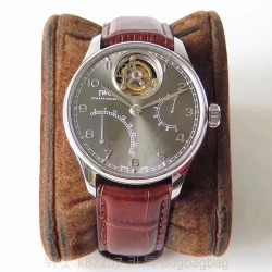 샤프하우젠 IWC