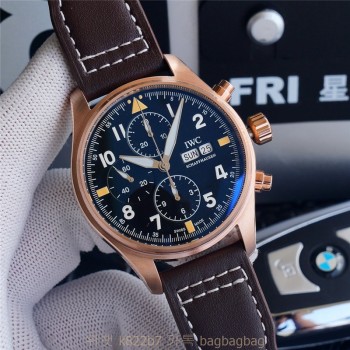 샤프하우젠 IWC