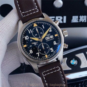 샤프하우젠 IWC
