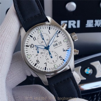 샤프하우젠 IWC