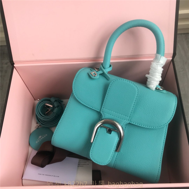 델보 Delvaux 브리앙 스몰 토트백 20cm