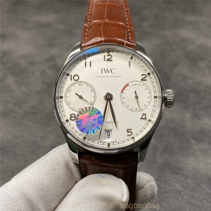 샤프하우젠 IWC