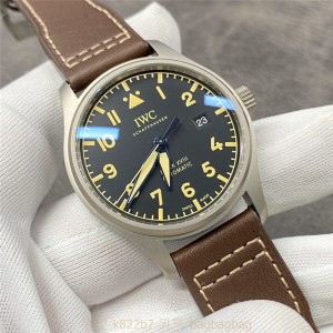샤프하우젠 IWC