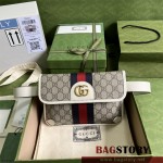 구찌 GUCCI  오피디아 벨트백 674081