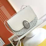 고야드 GOYARD 여성 233백 카메라 크로스백