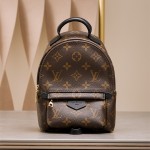 루이비통 Louis Vuitton 팜 스프링스 백팩 미니 모노그램 M44873