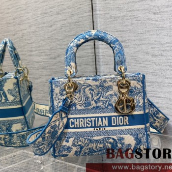 디올 DIOR 레이디백24CM