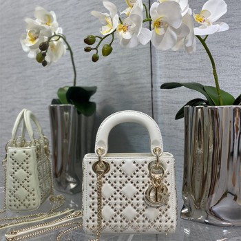 디올 DIOR 레이디백17CM