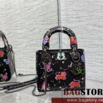 디올 DIOR 레이디백17CM