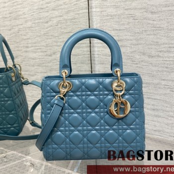 디올 DIOR 레이디백24CM