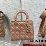 디올 DIOR 레이디백20CM