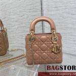 디올 DIOR 레이디백17CM