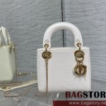 디올 DIOR 레이디백17CM