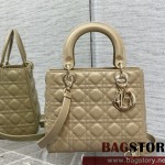 디올 DIOR 레이디백24CM
