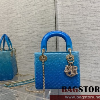 디올 DIOR 레이디백17CM