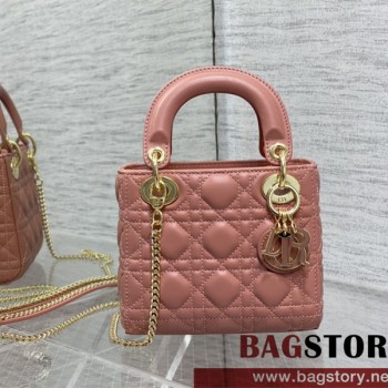 디올 DIOR 레이디백17CM