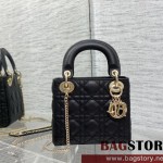 디올 DIOR 레이디백17CM