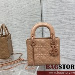 디올 DIOR 레이디백17CM