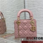 디올 DIOR 레이디백17CM