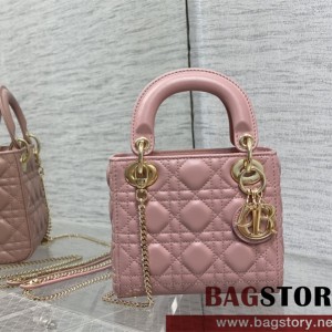 디올 DIOR 레이디백17CM