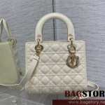 디올 DIOR 레이디백24CM