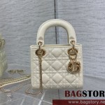 디올 DIOR 레이디백17CM