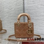 디올 DIOR 레이디백12CM