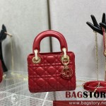 디올 DIOR 레이디백17CM