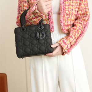 디올 DIOR 레이디백20CM