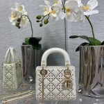 디올 DIOR 레이디백17CM