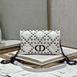 디올 DIOR 카로크로스백   19.5CM