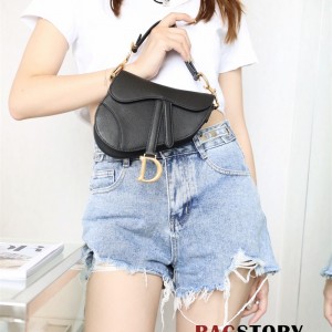 디올 DIOR 새들백21cm