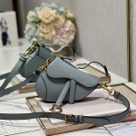 디올 DIOR 새들백21CM