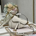 디올 DIOR 새들백21CM