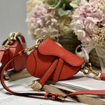 디올 DIOR 새들백12CM